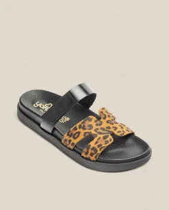 Flat Sandals|Yokono Flat Sandal MORENA-125 Leopard